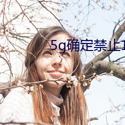 5g确定禁止18进入 （土星）