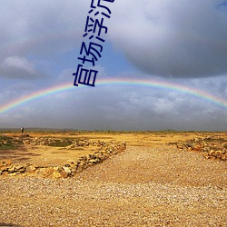 官场浮沉录