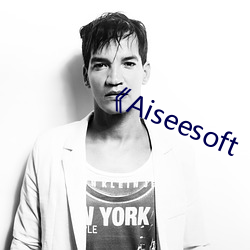 《Aiseesoft