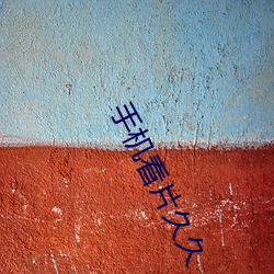 手机看片久久(jiǔ)