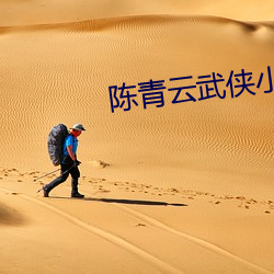 陳青雲武俠小說