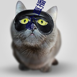哪个直播平台尺度大