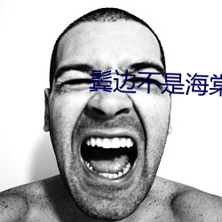 鬓边不是海棠红小说结(jié)局(jú)