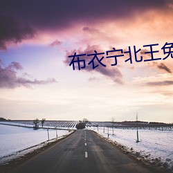 布衣宁北王免费阅读