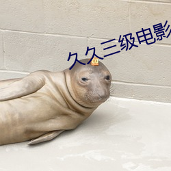 久久三級電影