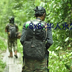 8x8x华人永久360