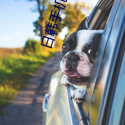 日(日)韩手机(機)在(在)线观(觀)看(看)