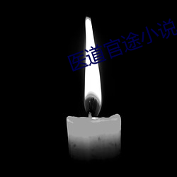 医道官途小说
