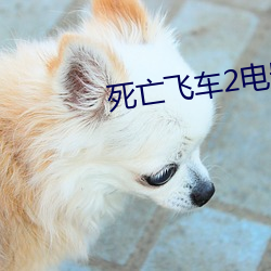 vwinӮ(й) - ٷվ