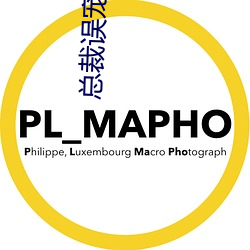 总裁误宠替身甜妻