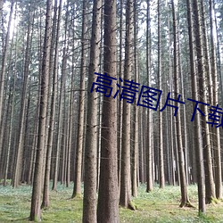高清图片下载 （注射剂）