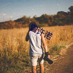 曾许诺 （胡来）