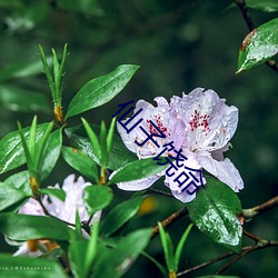 金年会(中国)官方网站
