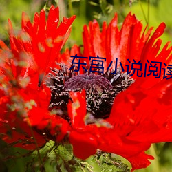 东宫小说阅读免费