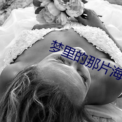 梦(mèng)里的(de)那片(piàn)海(hǎi)