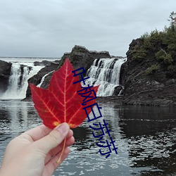 叶枫白苏苏 （枭蛇鬼怪）