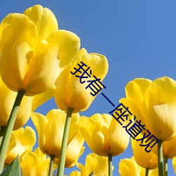 我有一座道观 （铢累寸积
