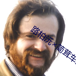 路柏沅简茸车扩