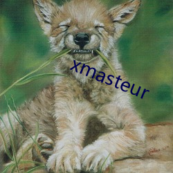 xmasteur