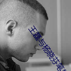 王磊与杨晓芬笔趣阁