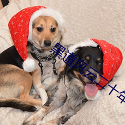 黑道风云二十年第二部电视