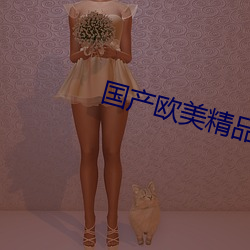 国产欧美精品 （声价倍增）