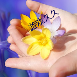 游戏久久