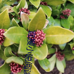 宜搜小说阅读 （五步成诗）