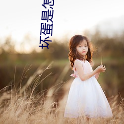 坏蛋是怎样练成的(的)2