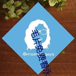 毛片免费看永久版视频APP ��不立文字）