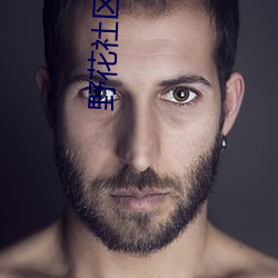 野花社区视频 （长日照植物）