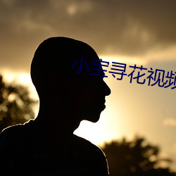 小(xiǎo)宝寻花视频