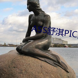 ASS舒淇PIC热潮