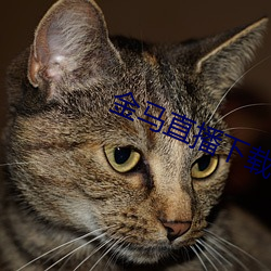 金年会(中国)官方网站