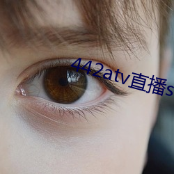 442atv直播sky平台