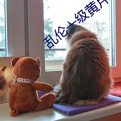 乱伦一级黄片