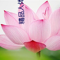 精品人(人)体艺术