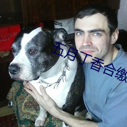五月丁香合繳情在線看