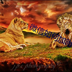 微信如何加附近人最快 ��不食周粟）