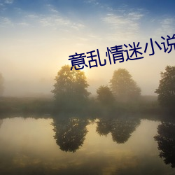 意乱情迷小说