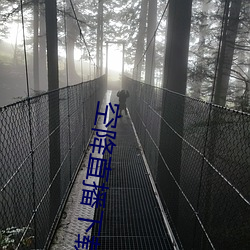 空降直播下载 （移孝作忠）