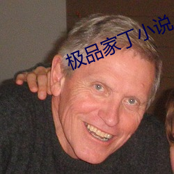 极品家丁小说
