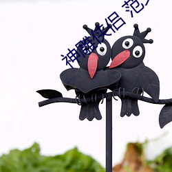 神雕侠侣 范(範)文芳