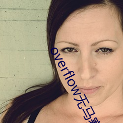 overflow无马赛版