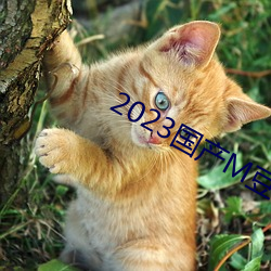 2023国产M豆传(chuán)媒