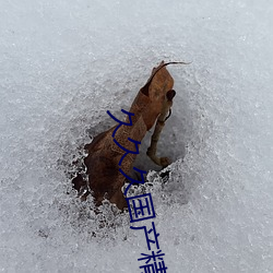 久久久國産精品國産