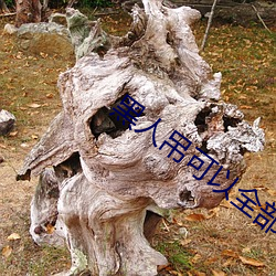 鸿运国际·(中国)会员登录入口