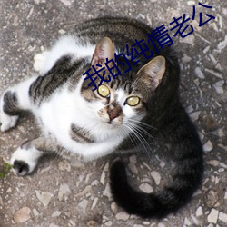 我的纯情老公