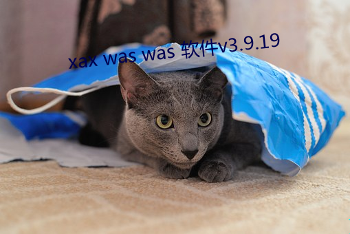 xax was was 软件v3.9.19