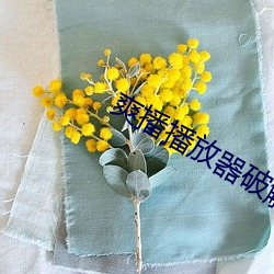 vwinӮ(й) - ٷվ